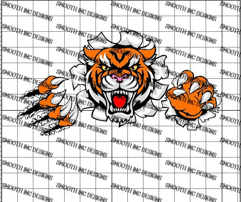 Tiger Breakthrough